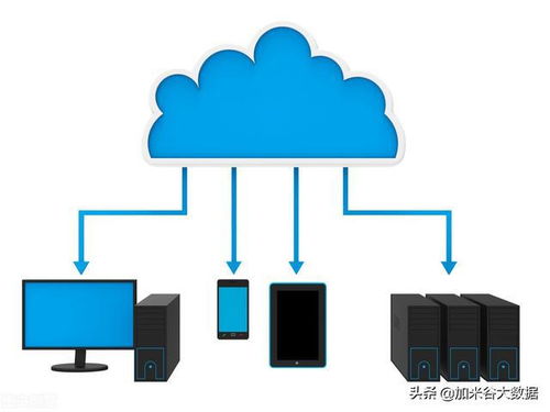 大數(shù)據(jù)的發(fā)展前景 網(wǎng)絡(luò)技術(shù)服務(wù)驅(qū)動(dòng)的未來(lái)圖景
